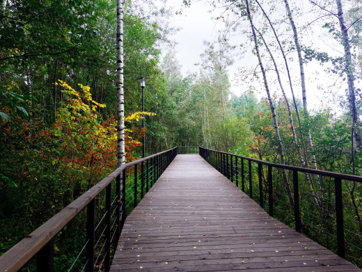 1753592 (a): :3000x2247